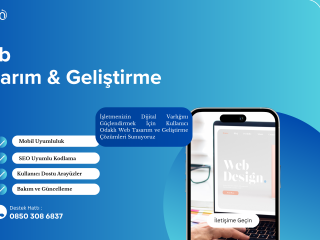 Web Tasarım & Geliştirme