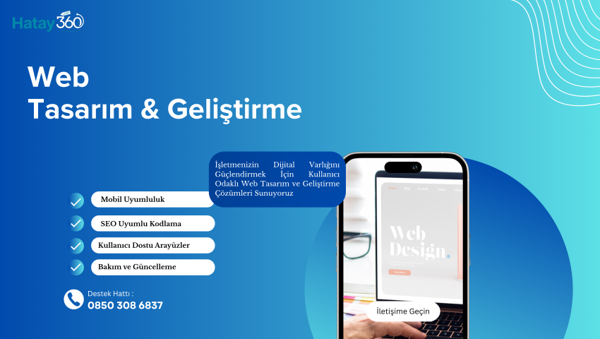 Web Tasarım & Geliştirme
